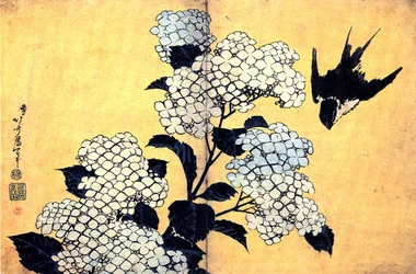 Hydrangea and Swallow